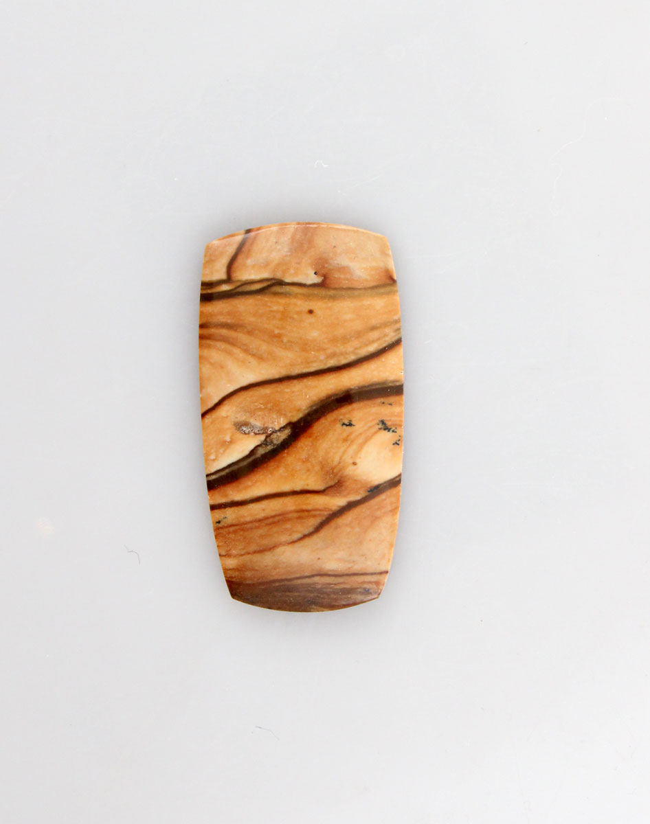 Biggs Jasper Cabochon 
