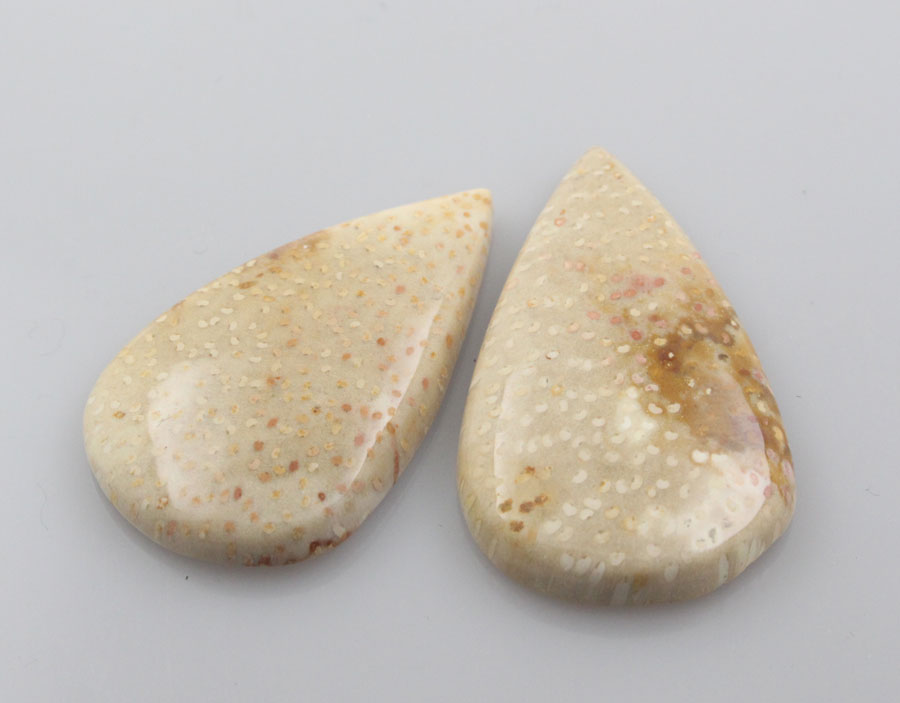 Sale bundle set of 2 Fossil palmwood cabochon's 