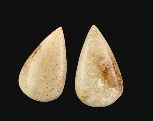 Sale bundle set of 2 Fossil palmwood cabochon's