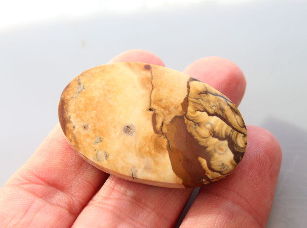 Large Blue Biggs Jasper Cabochon 