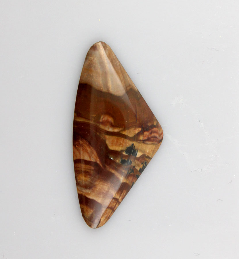 Biggs Jasper Cabochon