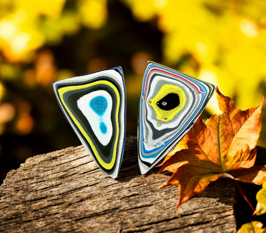 Kenworth Fordite Pair of cabochons