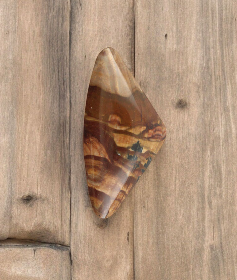 Biggs Jasper Cabochon 