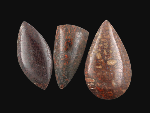 Sale bundle set of 3 Dinosaur Bone cabochon's