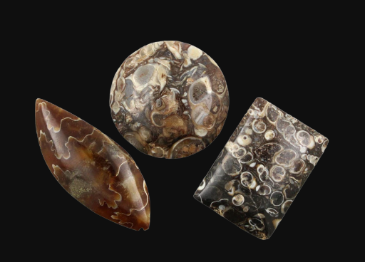 Sale bundle set of 3 Fossil cabochon's