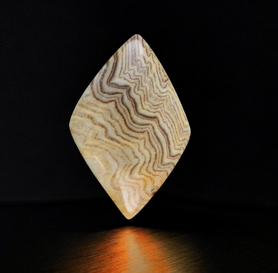 Herringbone Fossil Wood smaller cabochon
