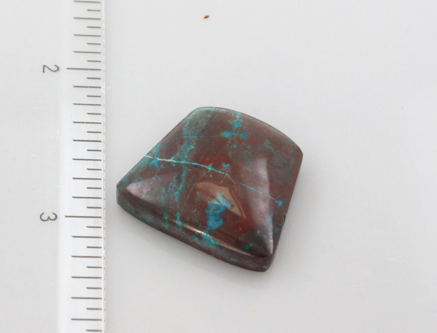 Hand Cut Parrots Wing Chrysocolla Cabochon