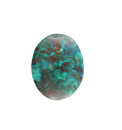 Hand Cut Parrots Wing Chrysocolla Cabochon