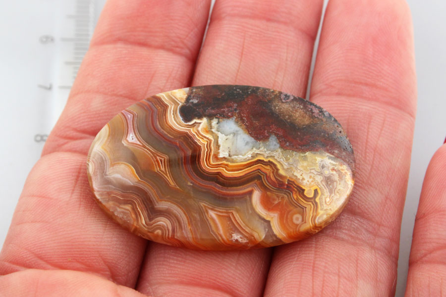 Large laguna Lace Agate 