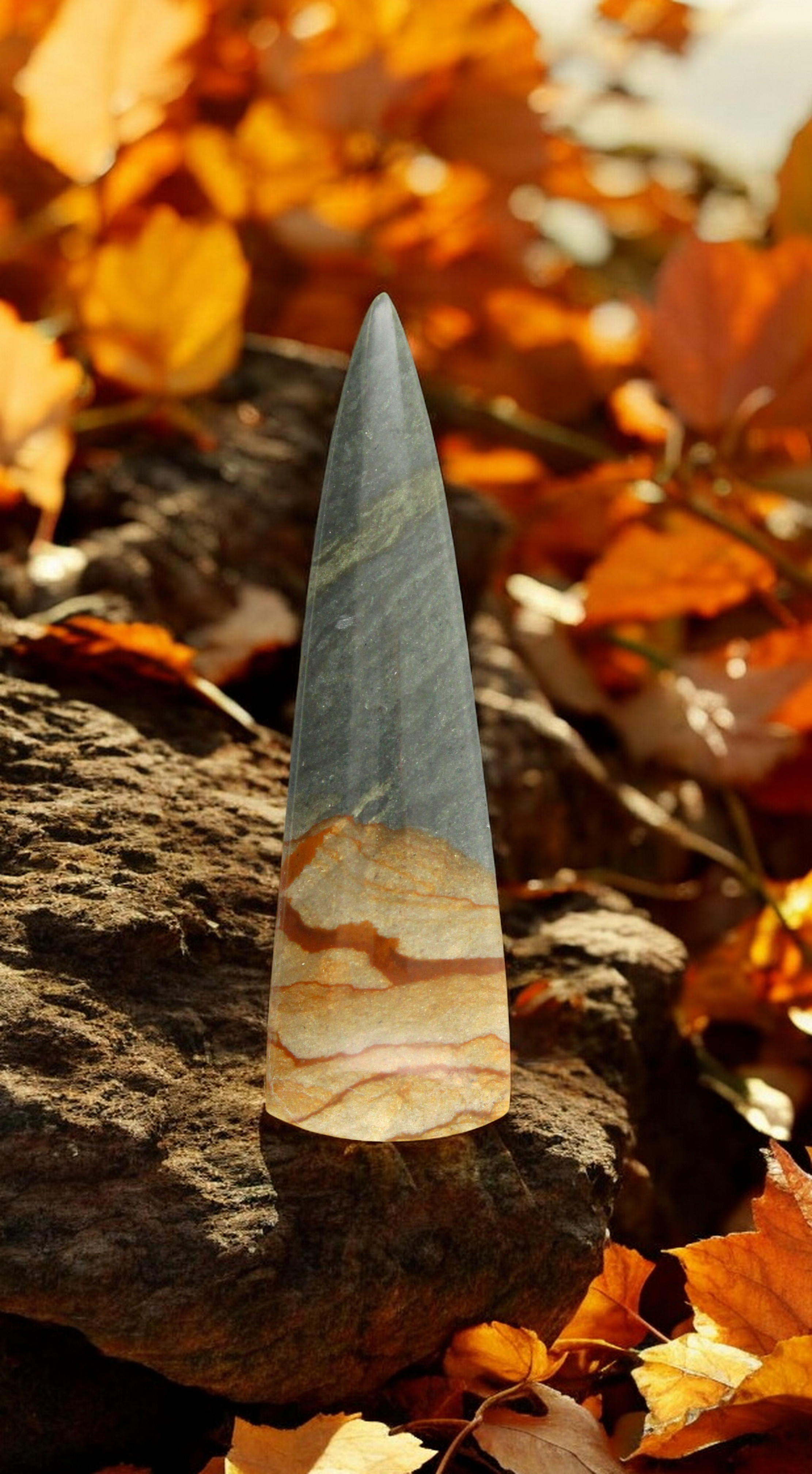 Large Wild Horse Picture jasper