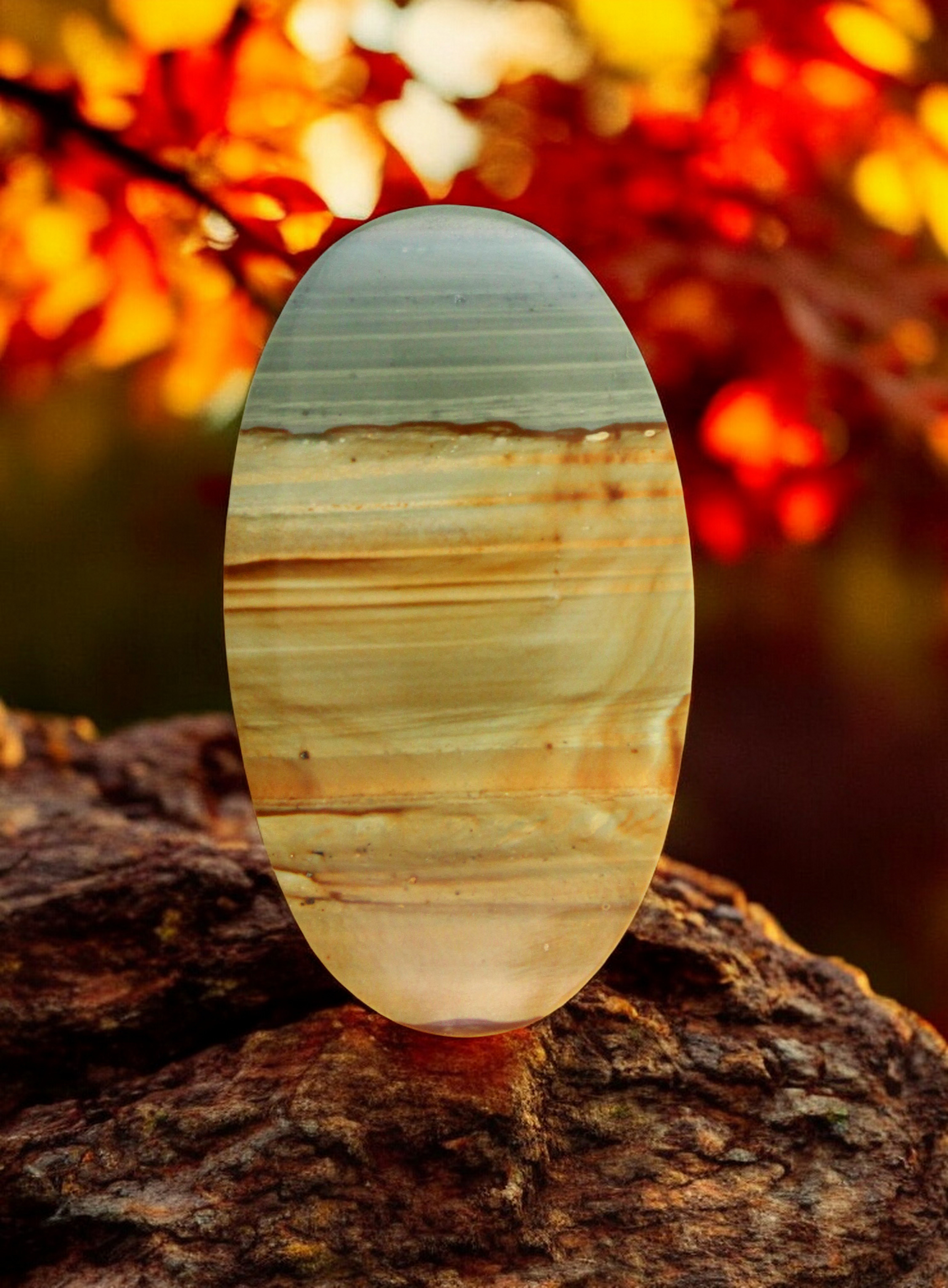 Huge Succour Creek Jasper cabochon