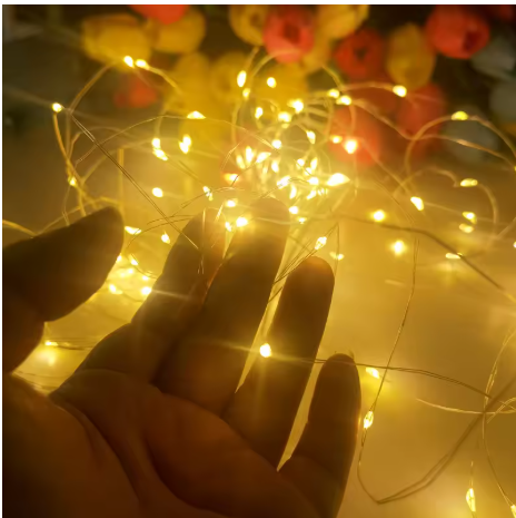 Warm White LED Fairy String Lights
