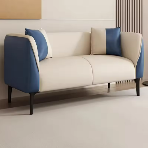 Modern Two-Tone Sofa
