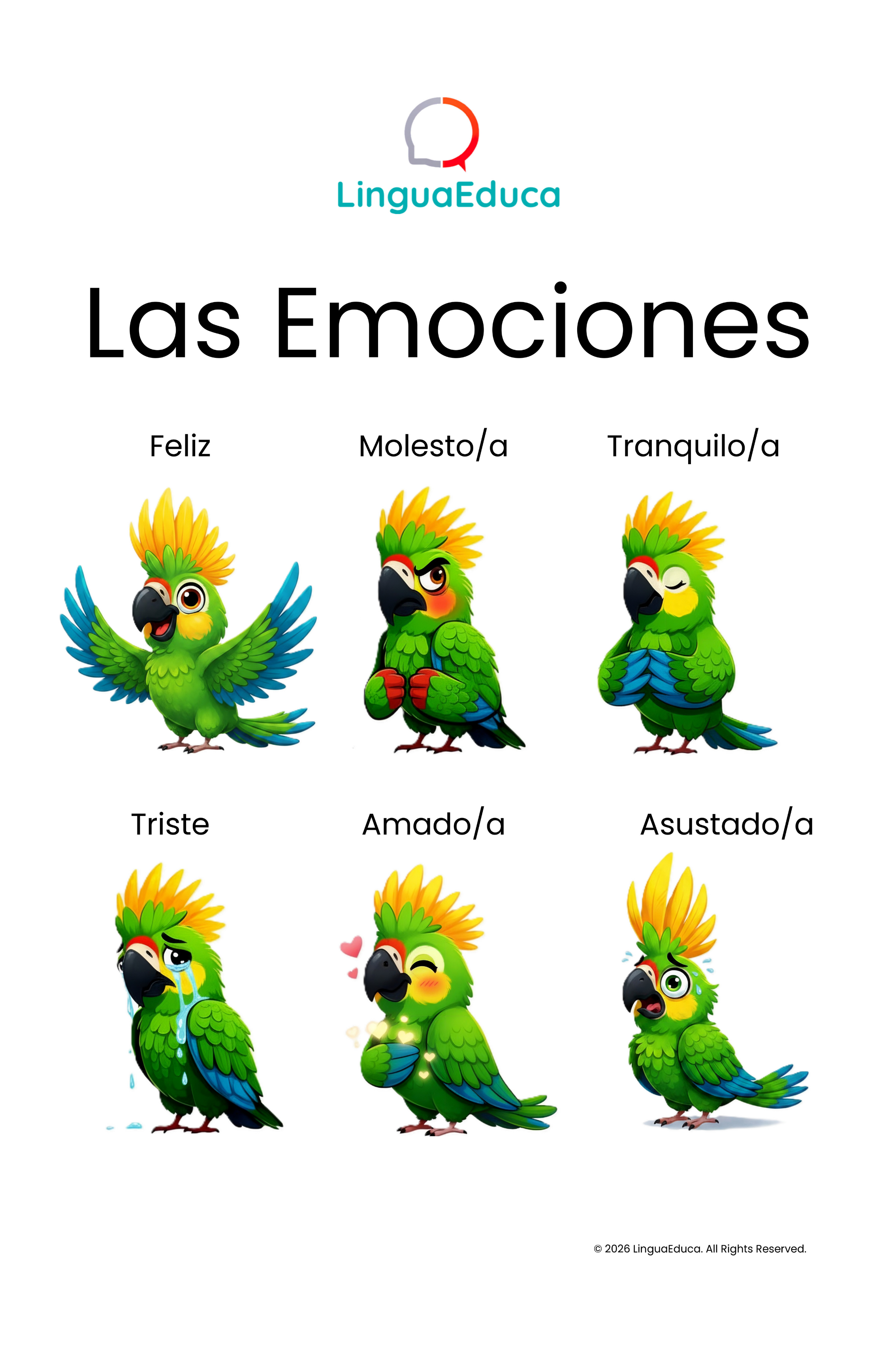 Ayuda a los niños a entender sus emociones todos los días.