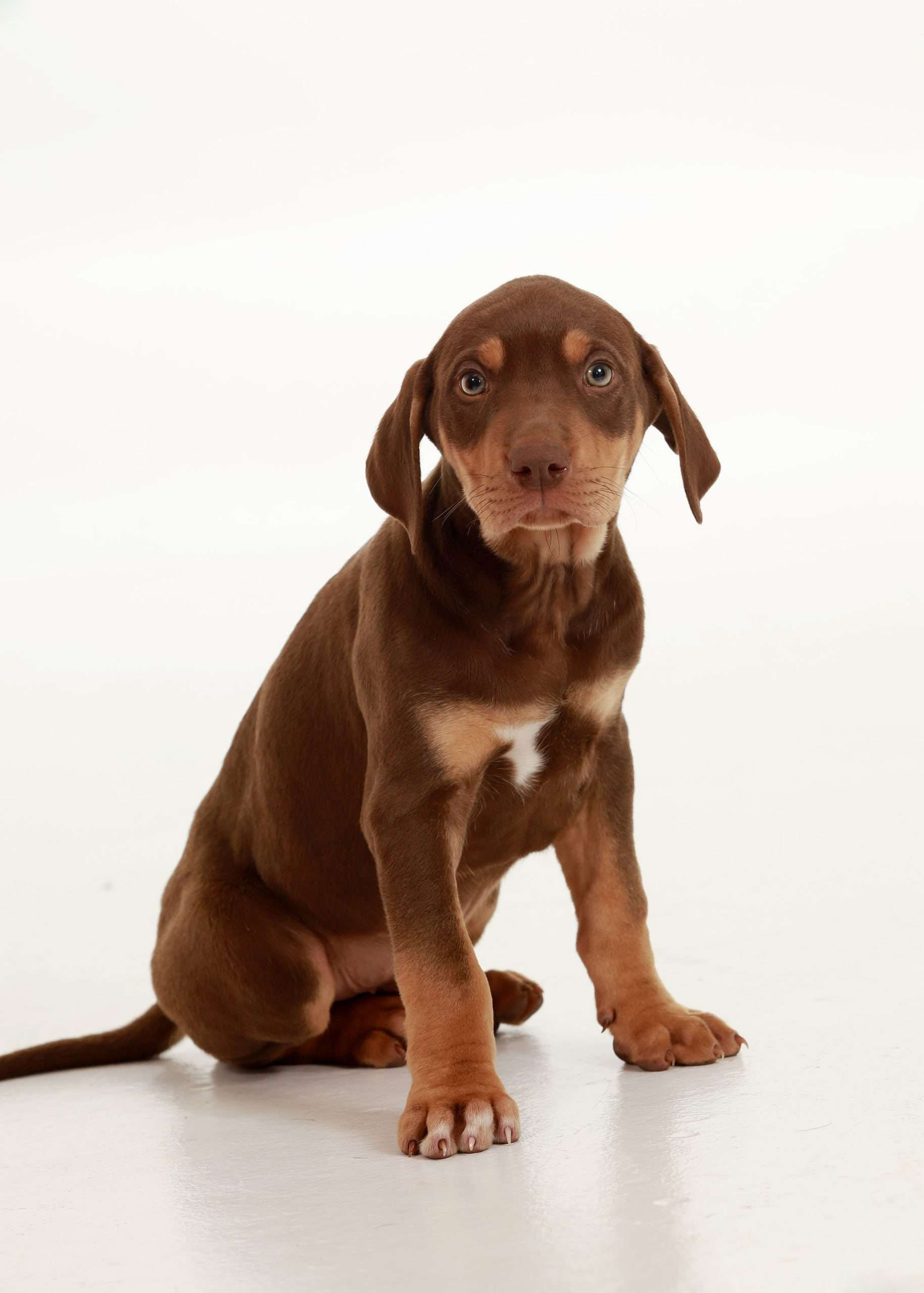 Charlie