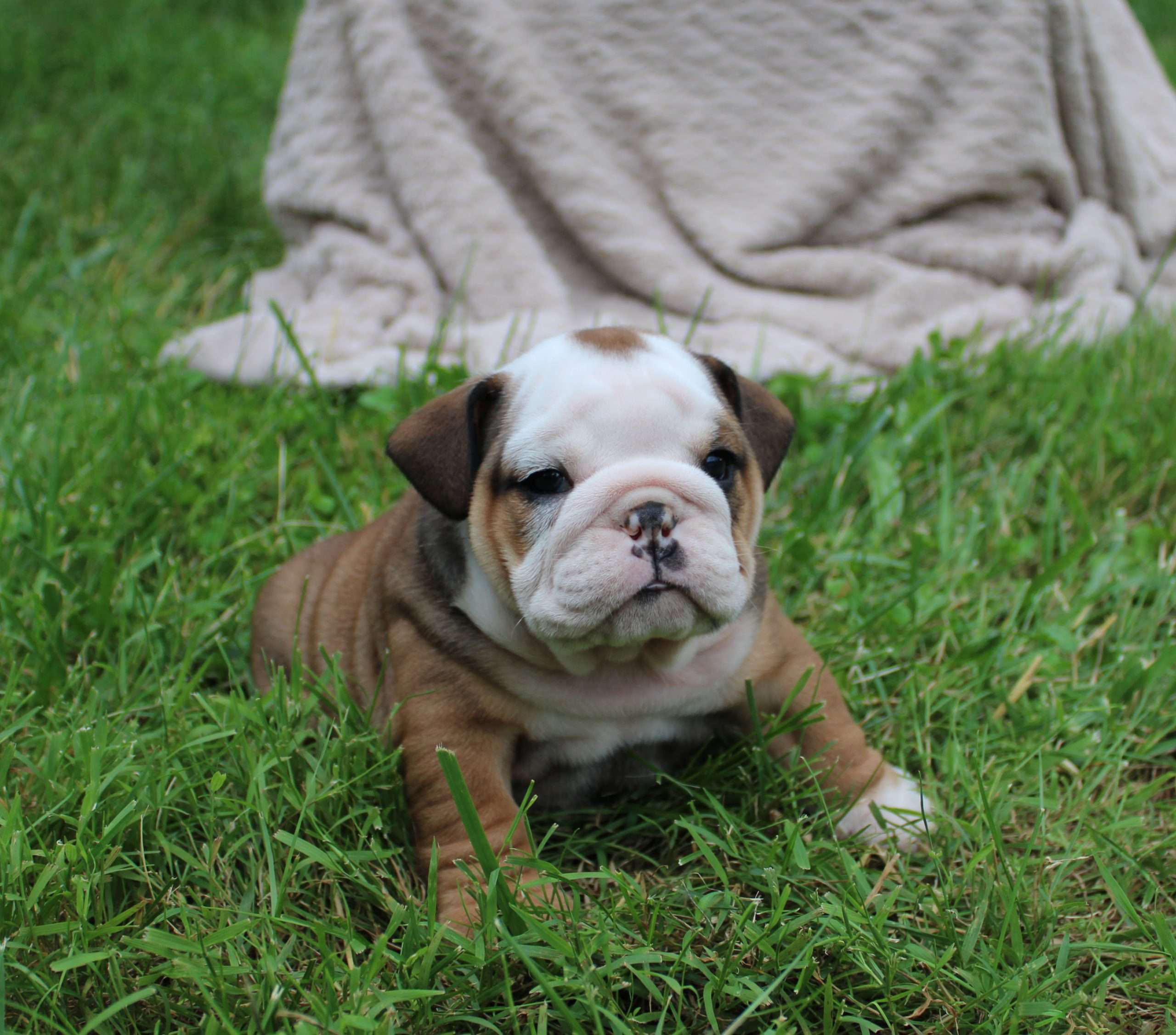 Milton