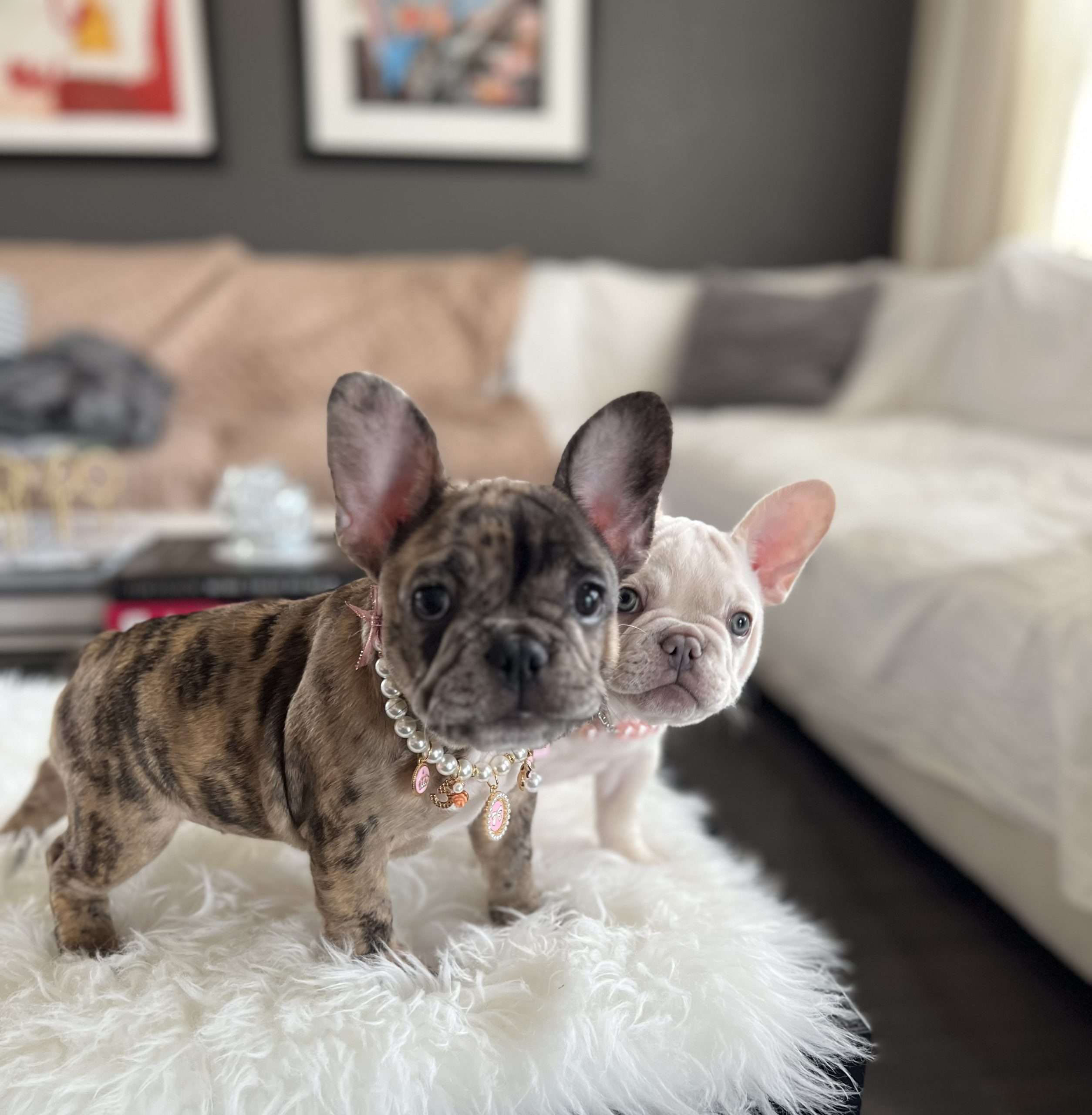 Nala