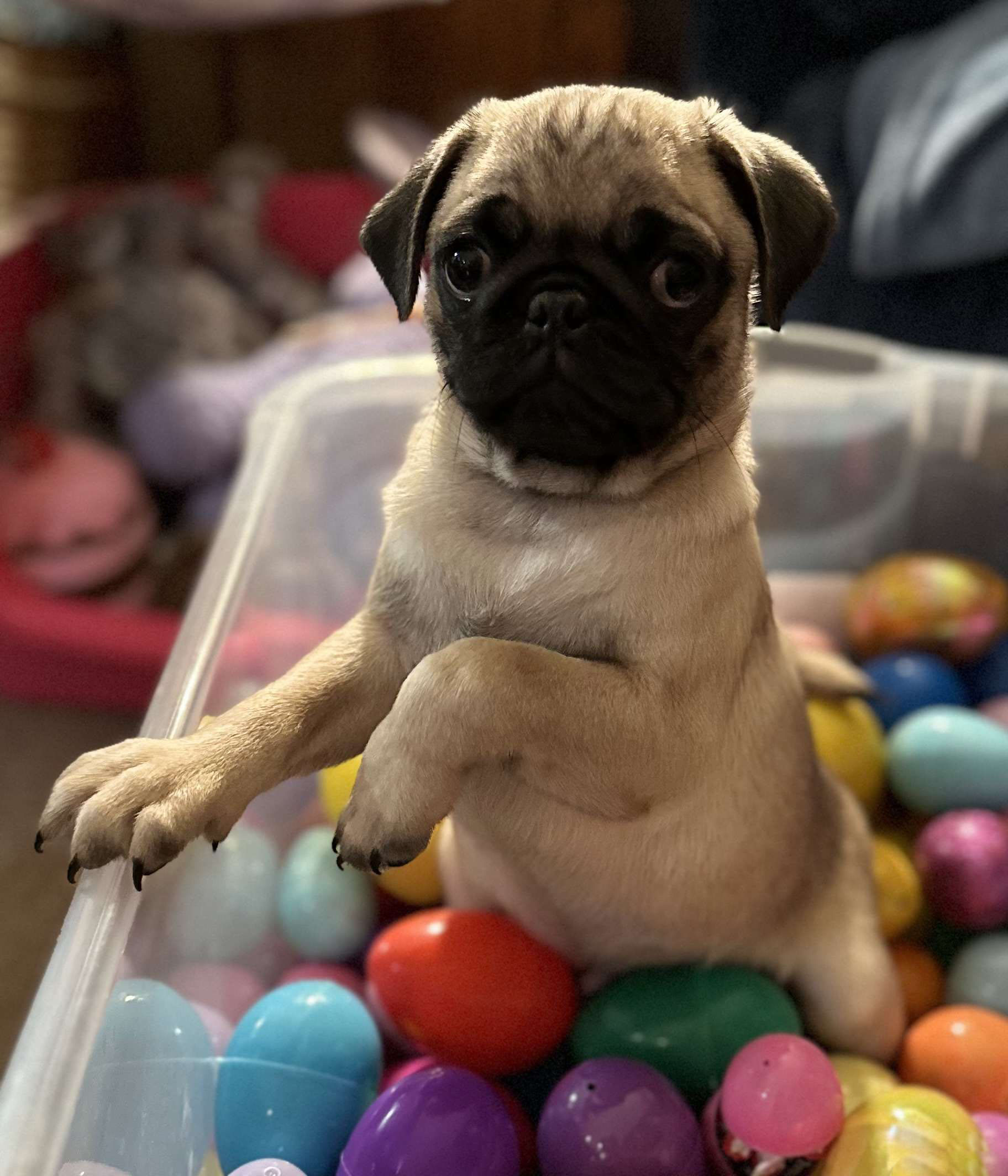 Benny