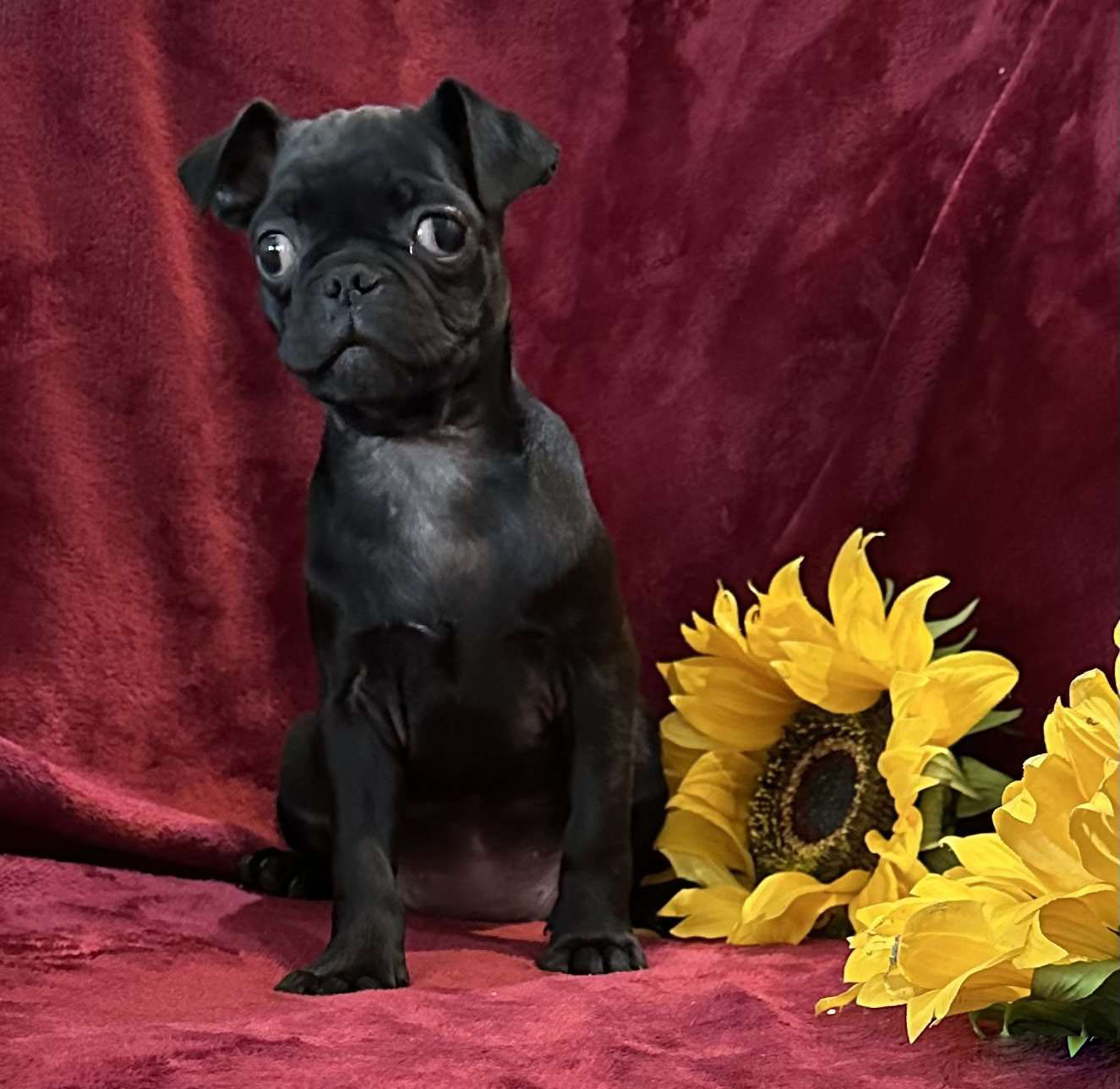 Maggie