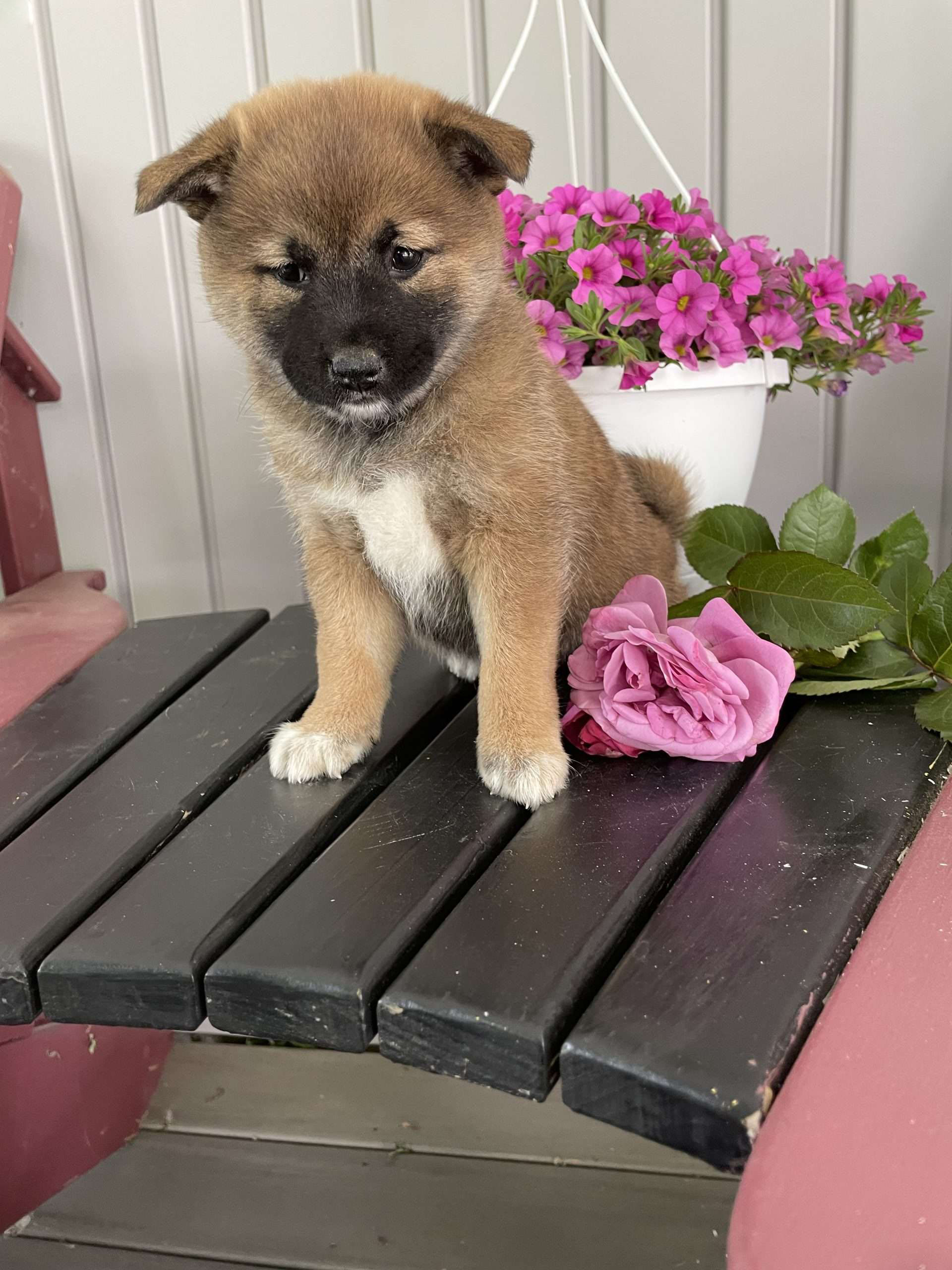 Luna