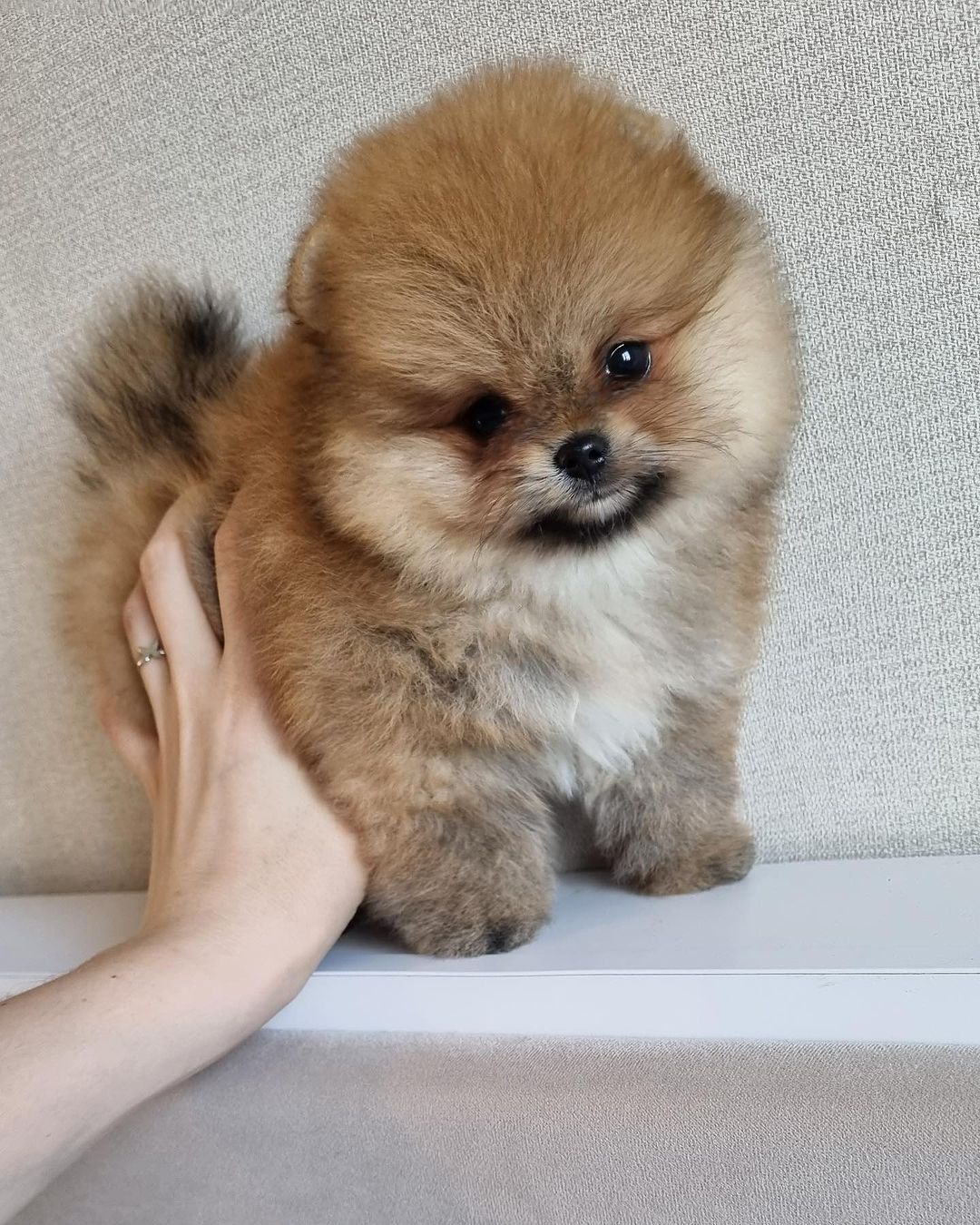 Maggie
