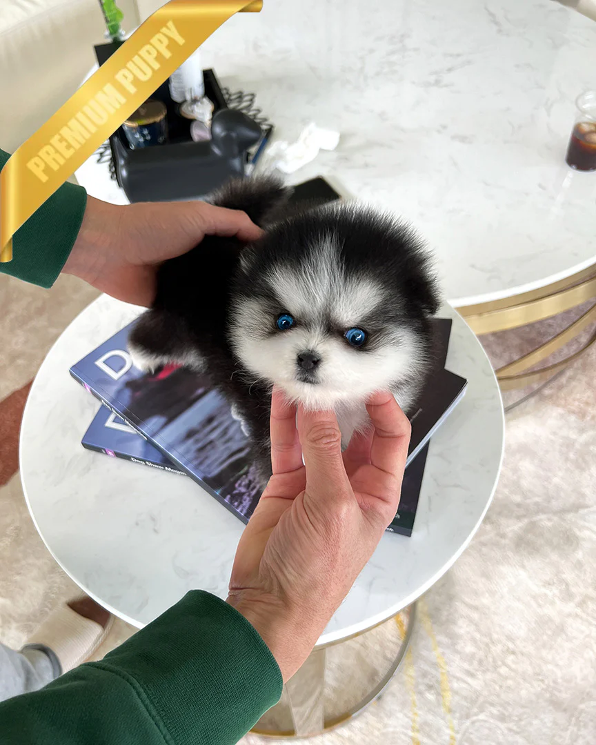 Oscar