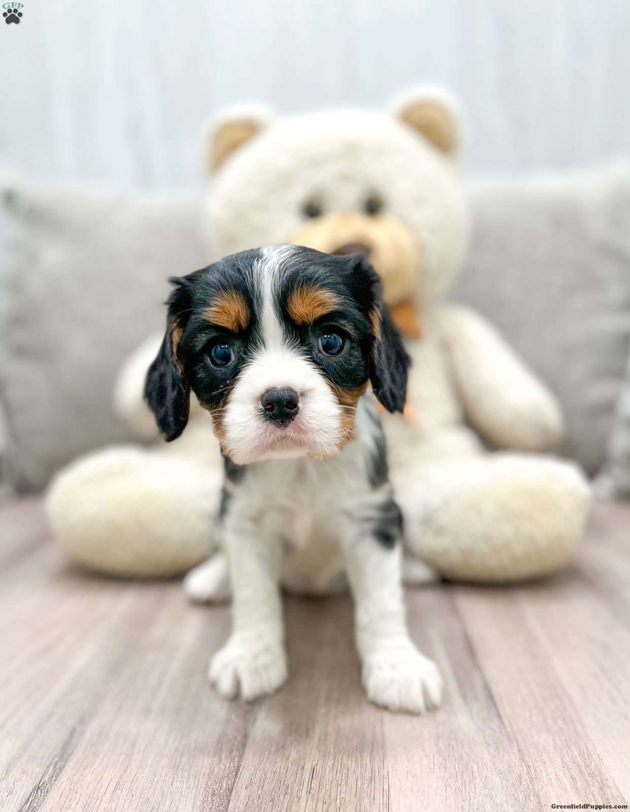 Sally