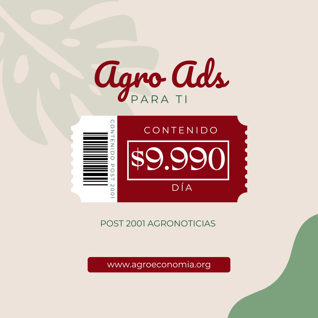 Contenido Patrocinado