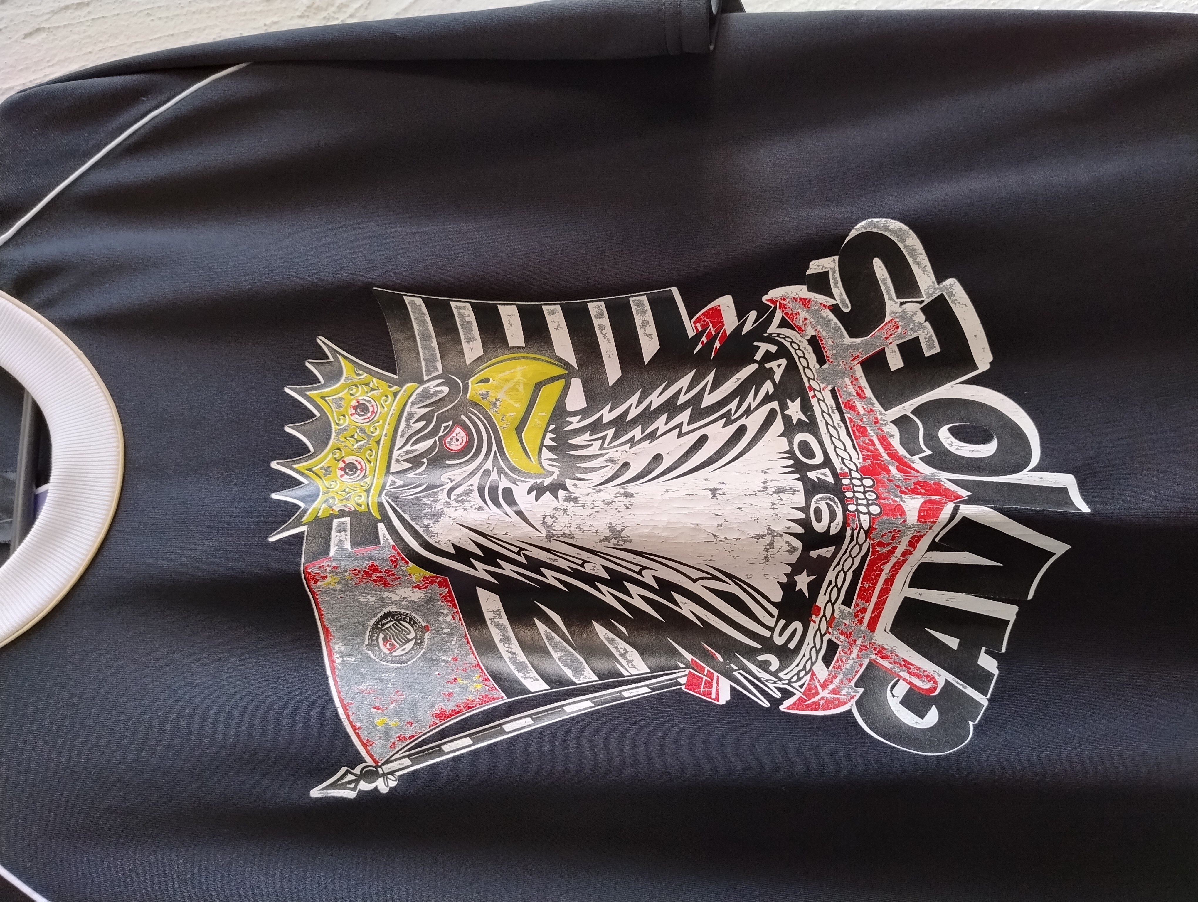 Camiseta Preta com Estampa de Águia