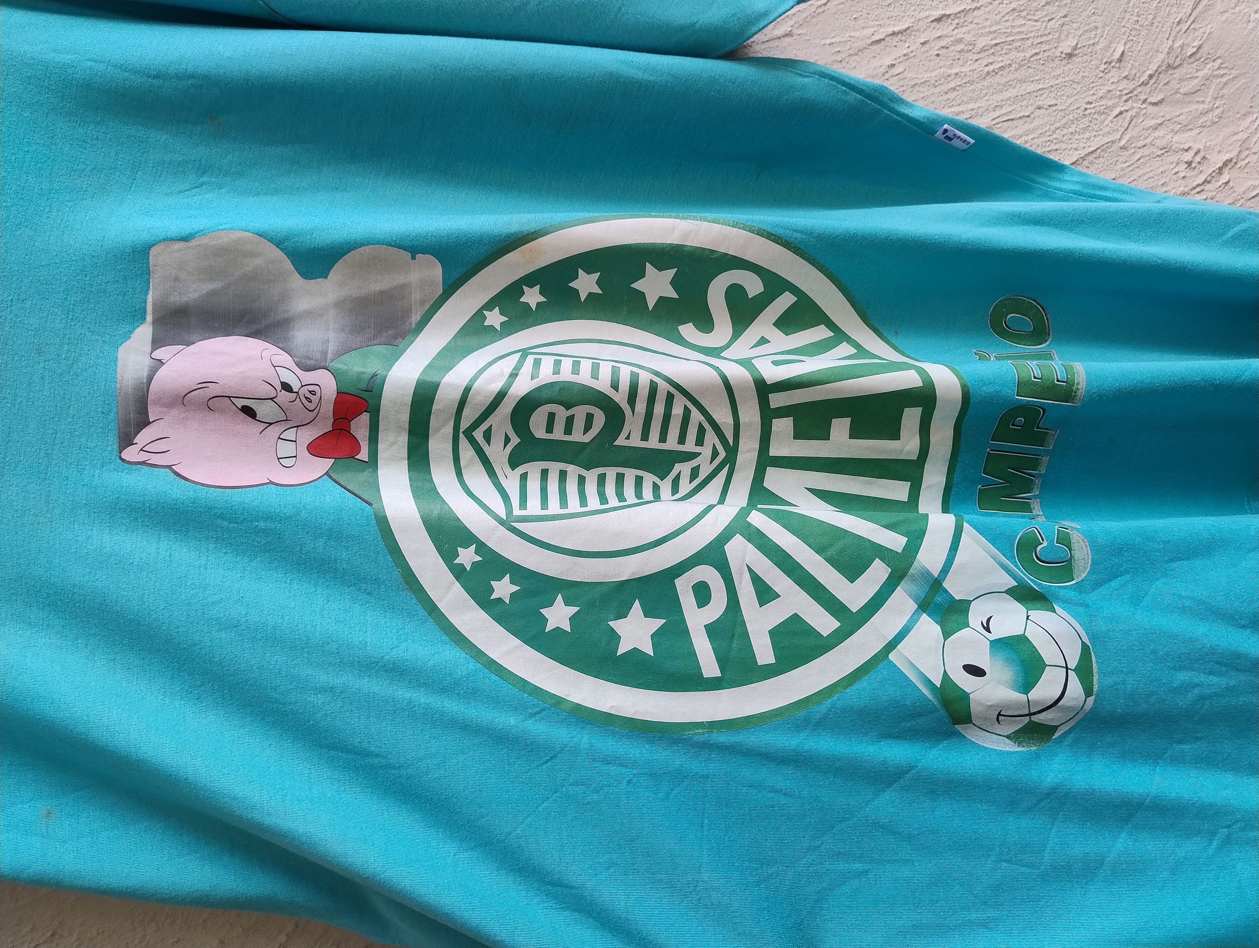 Camiseta Verde com Estampa