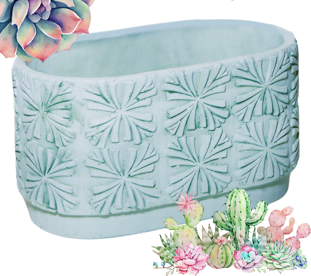 Cement Pot Succulent Rectangle Vista