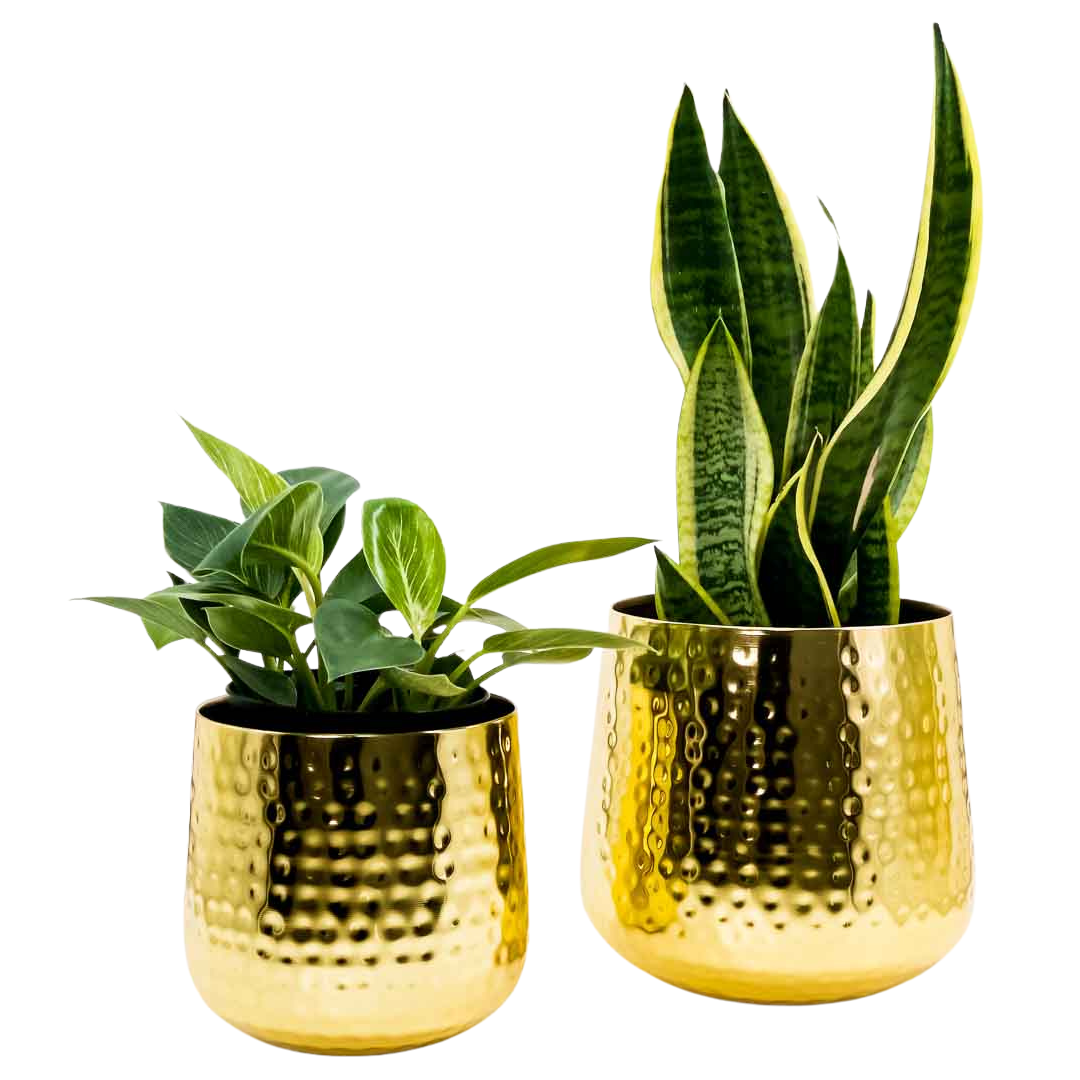 Metal Planter (Iron) Flower Pot Golden