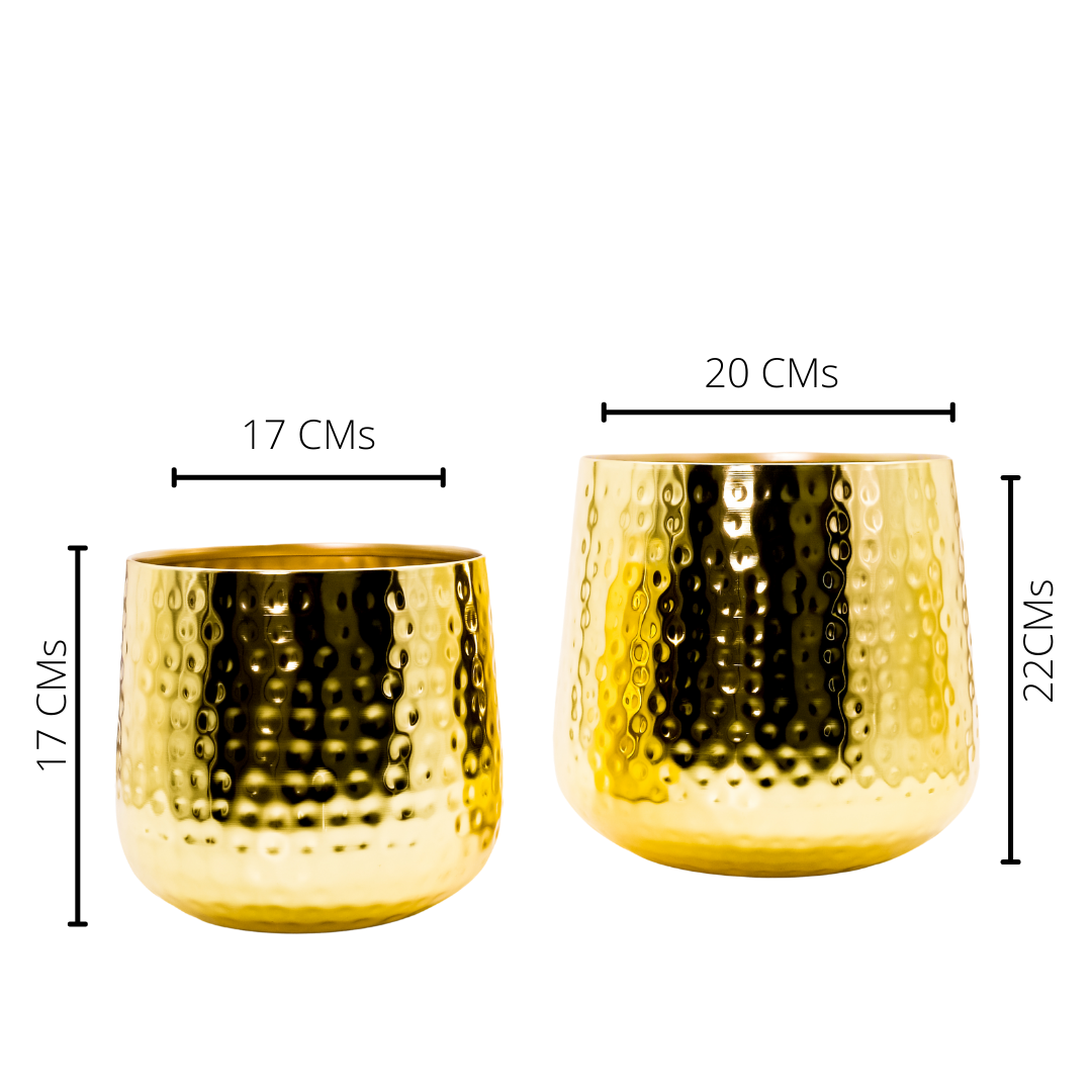 Metal Planter (Iron) Flower Pot Golden