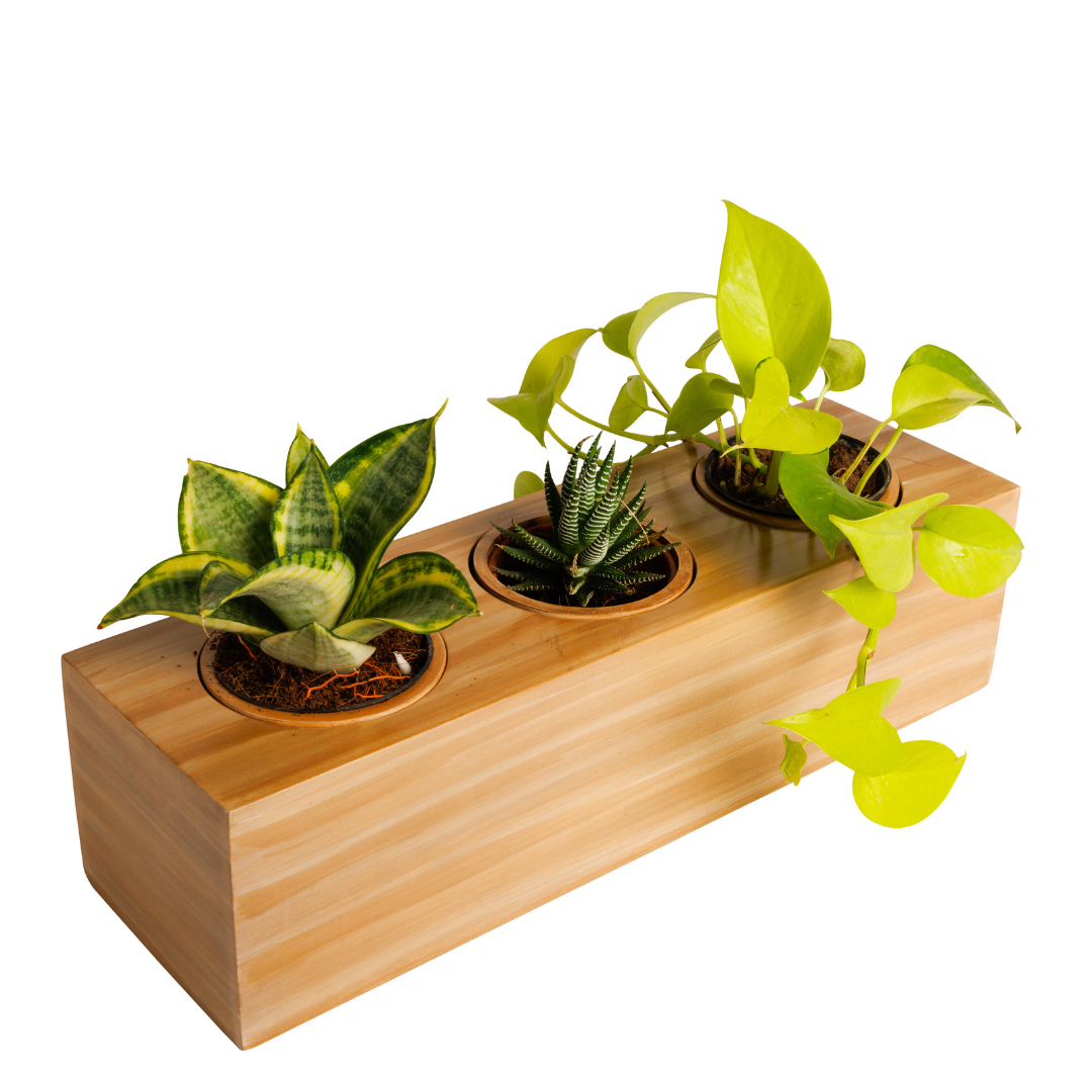 Ecowood Smart Planter 3 in 1 Box Round Nature
