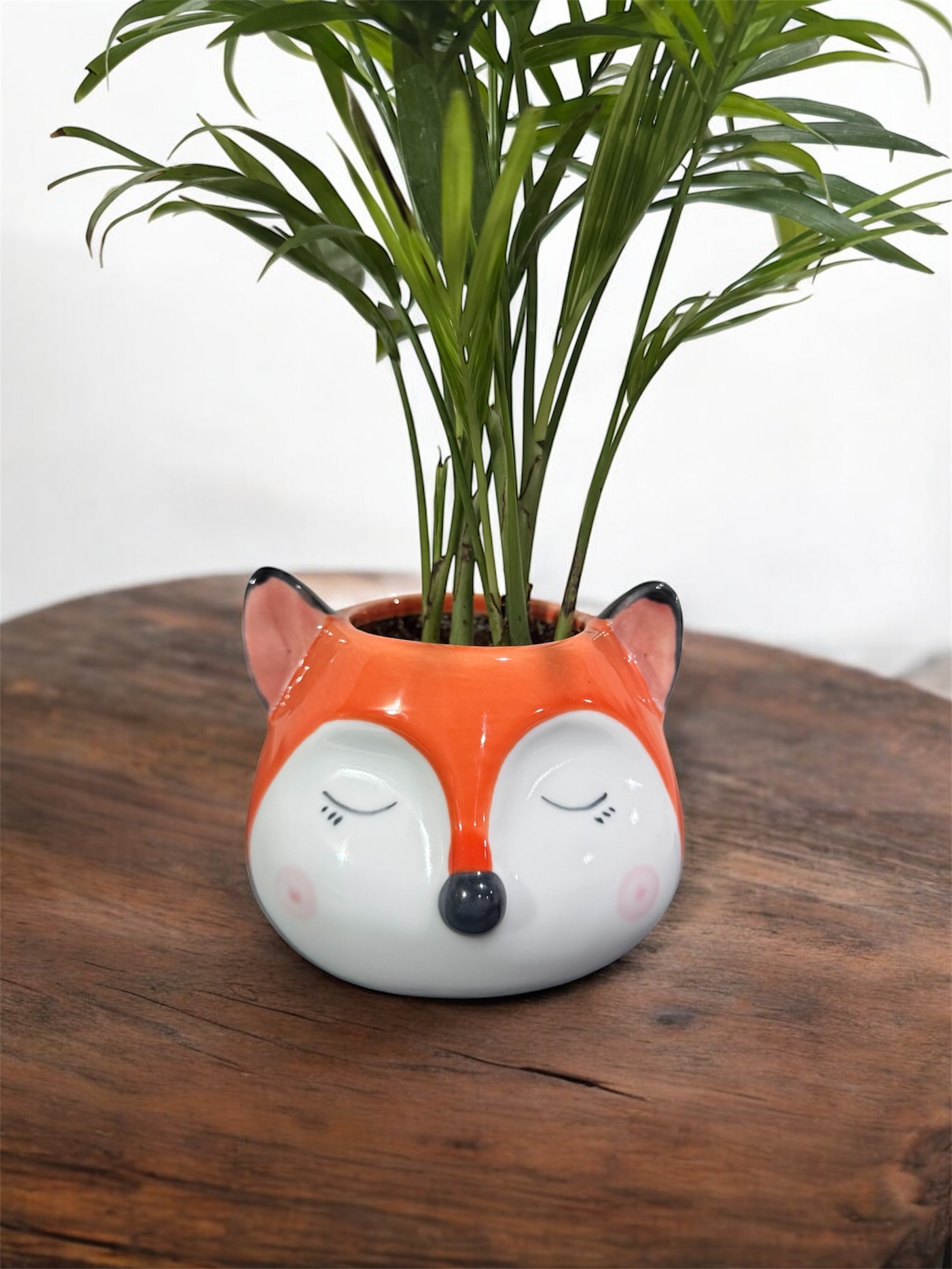 Cutiepie Animal Ceramic Pot 3 Inch