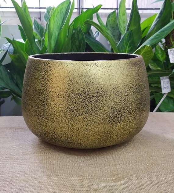 Terracotta Pot & Plate Color 2.5 Inch