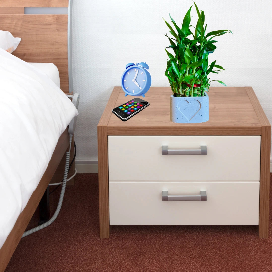 Lucky Bamboo 3 Layer (Dracaena Sanderiana)