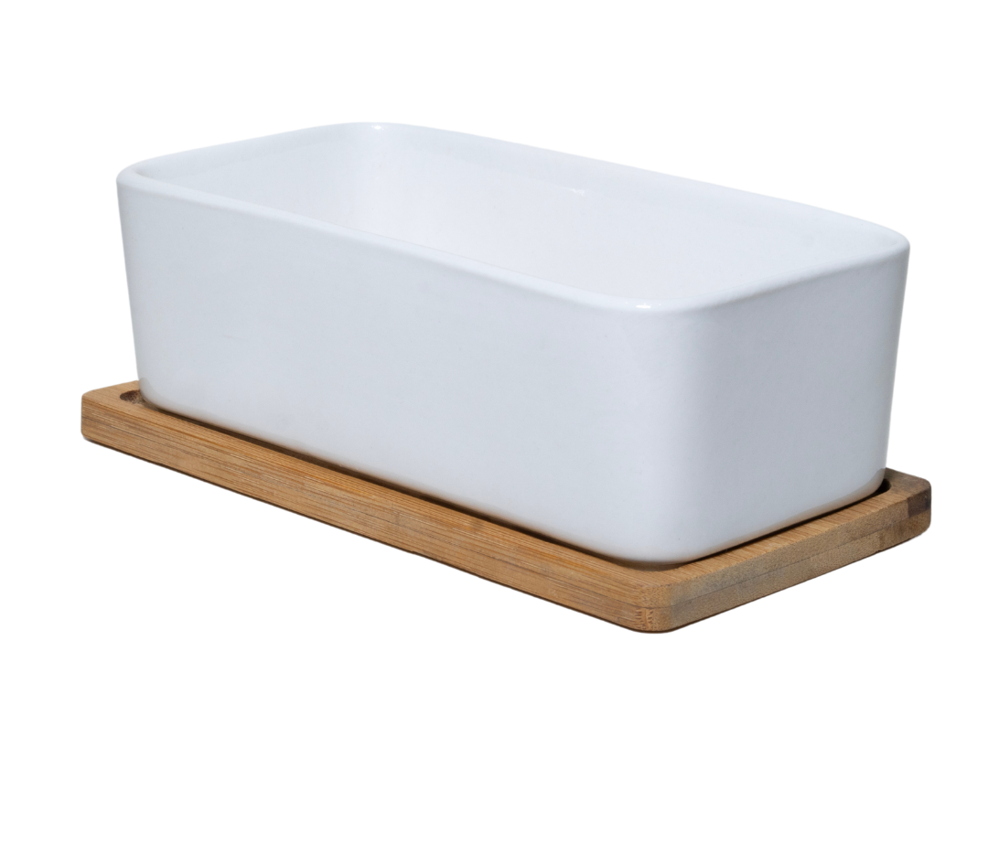 Ceramic White Rectangle with Wood Plate Succulent