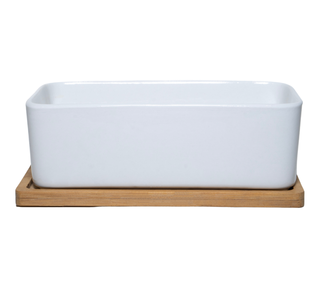Ceramic White Rectangle with Wood Plate Succulent