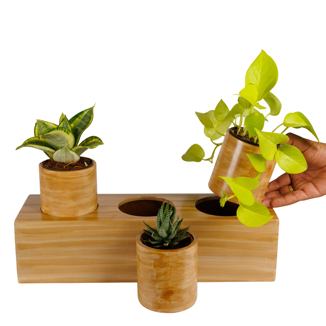 Ecowood Smart Planter 3 in 1 Box Round Nature