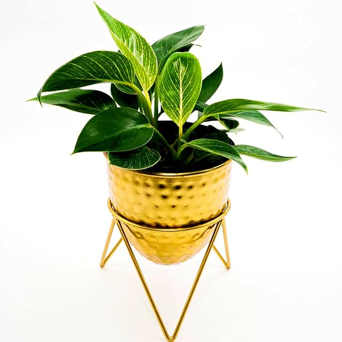 Metal Planter with Stand Small Tricone