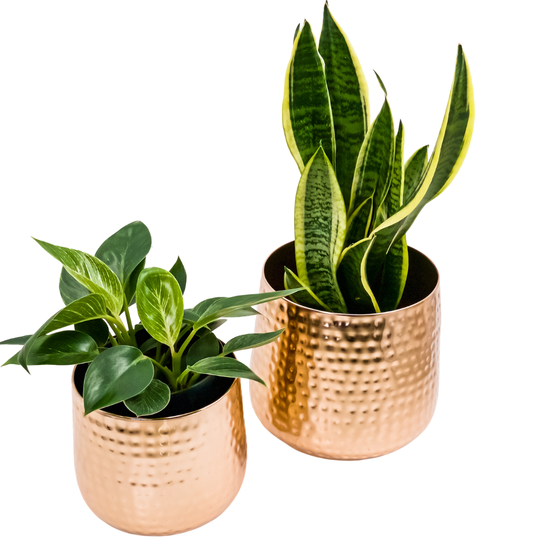 Metal Planter (Iron) Flower Pot Copper