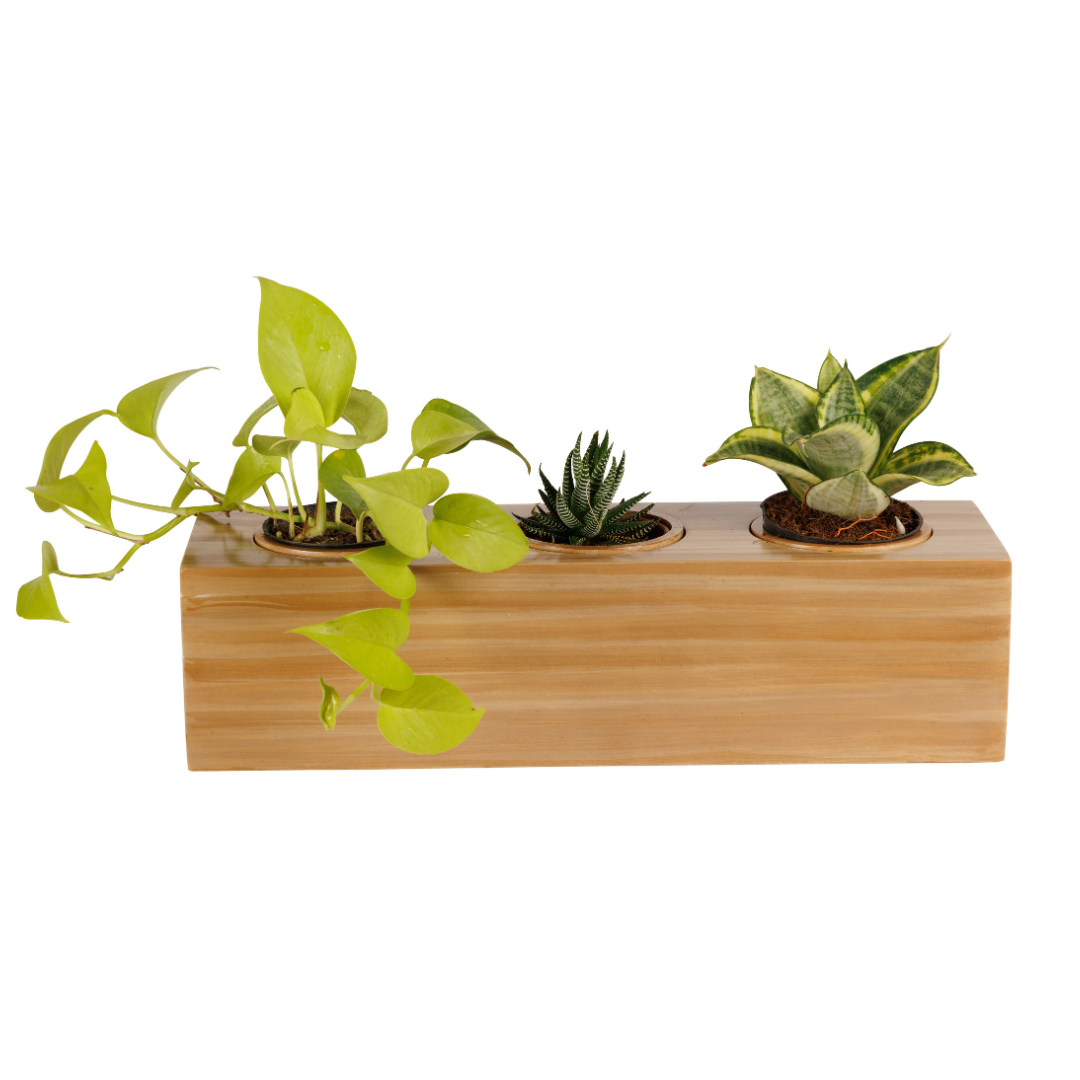 Ecowood Smart Planter 3 in 1 Box Round Nature