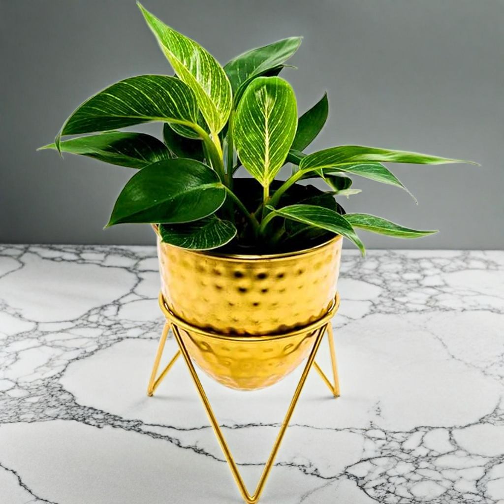 Metal Planter with Gold Stand