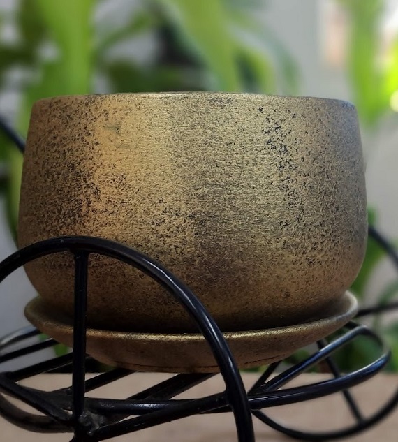 Terracotta Pot & Plate Color 2.5 Inch