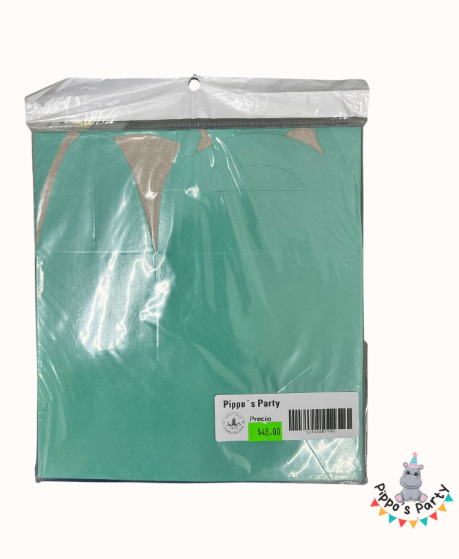 CAJA VERDE AQUA DE PAPEL X 10