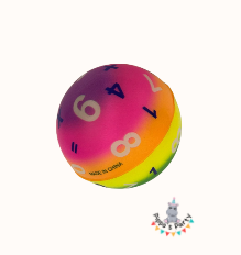 PELOTA MATEMÁTICA MULTICOLOR 