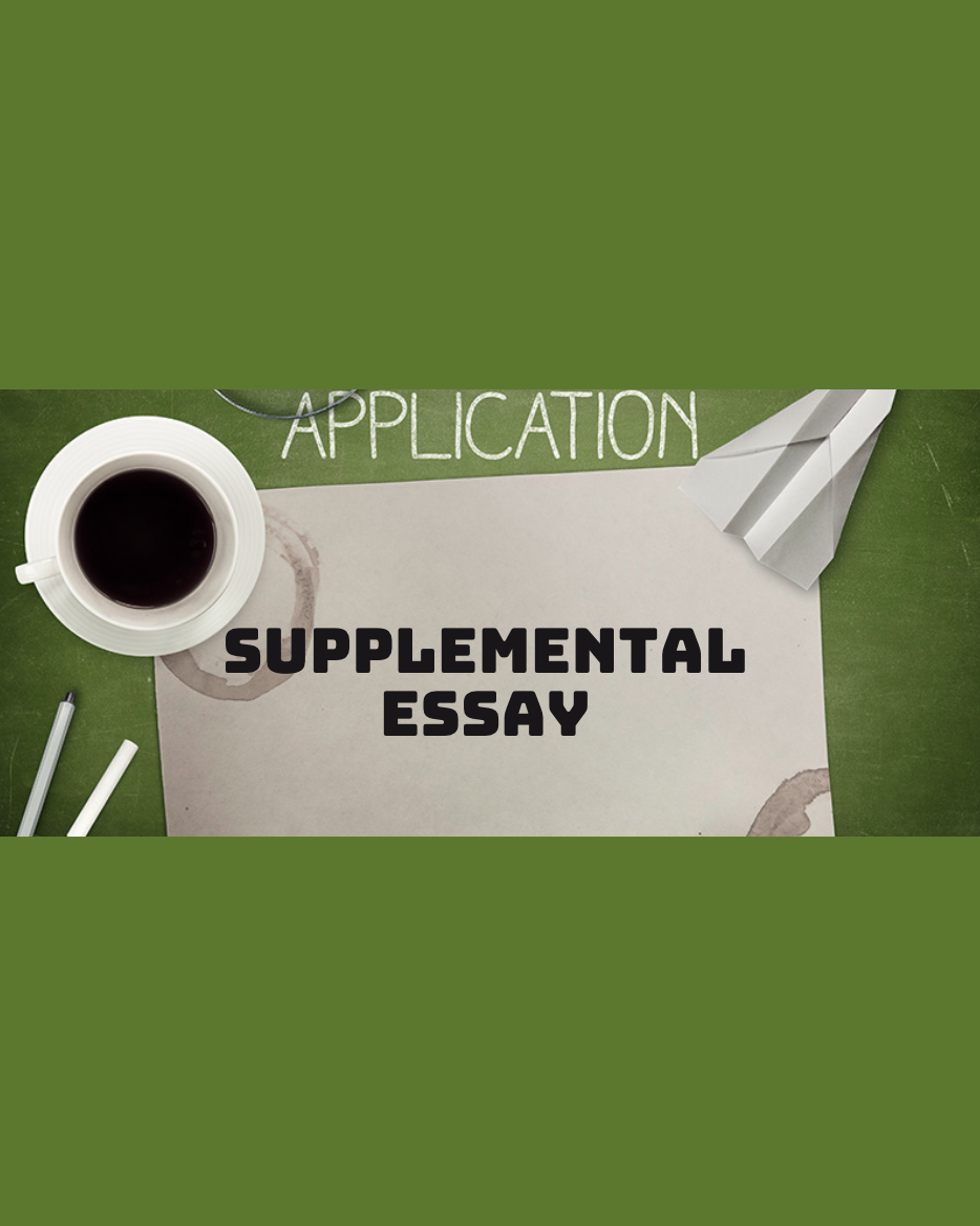 Supplemental Essay 