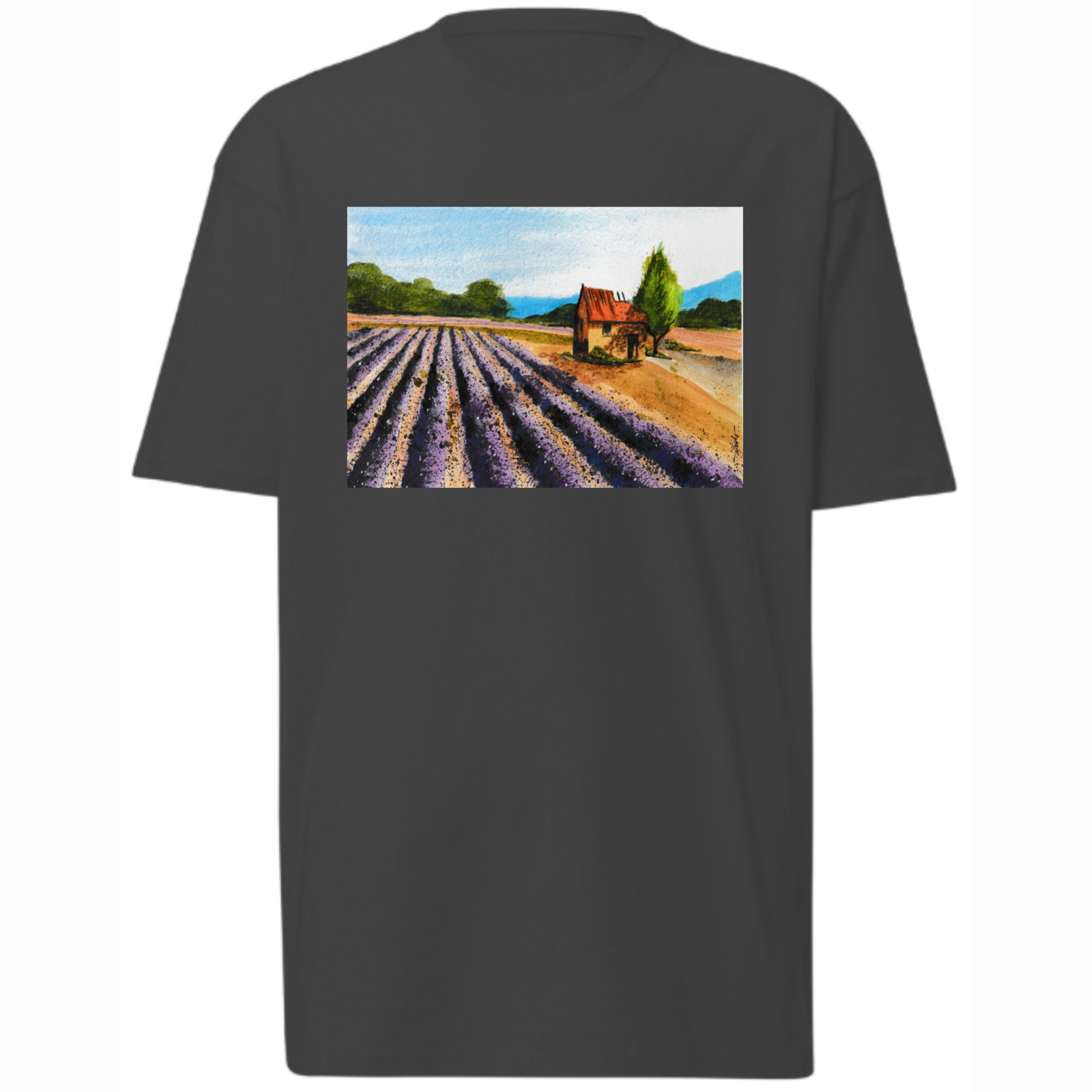 Plowed field and a Home