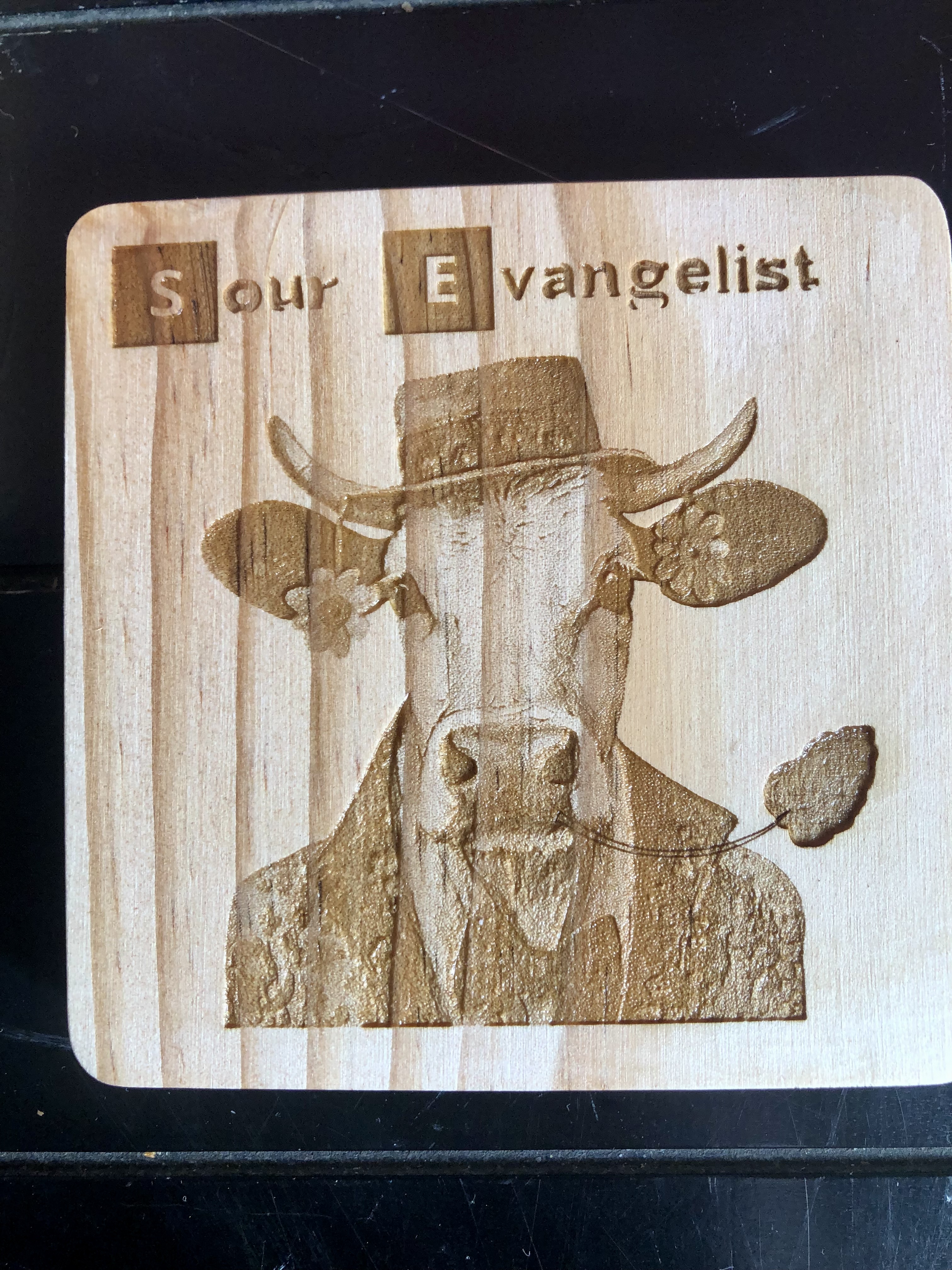 QUIRKY FARM ANIMALS COASTERS - Laser Etched Wood Coasters - Set of 4 - "SOUR EVANGELIST" Design #1